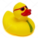 depositphotos_10342406-Rubber-duck